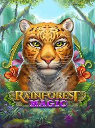 Rainforest Magic