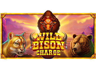 Wild Bison Charge-PR