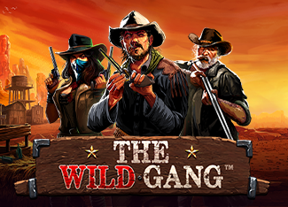 The Wild Gang