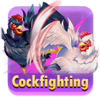 Cockfighting